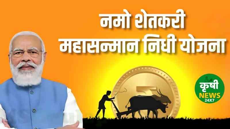 Maharashtra Agriculture News