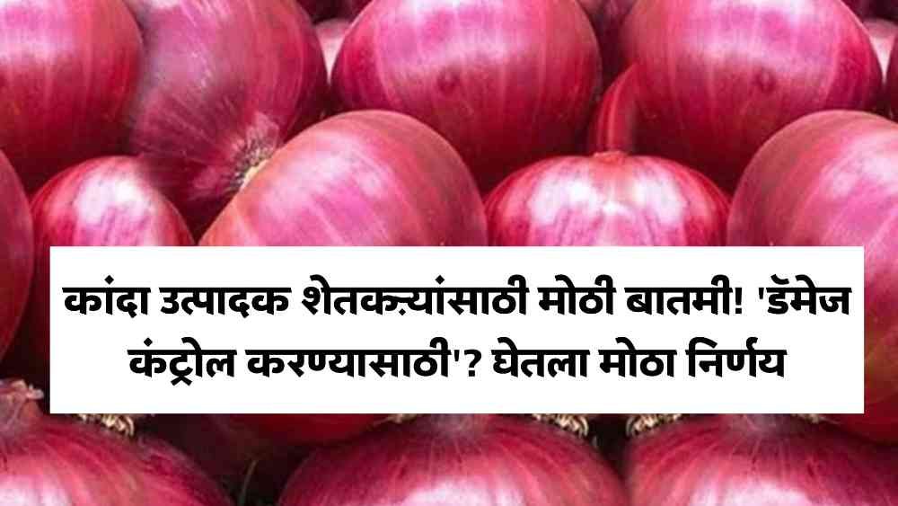 Onion Export News