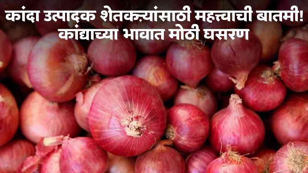 Onion Market