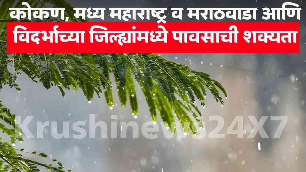 Maharashtra Rain Update