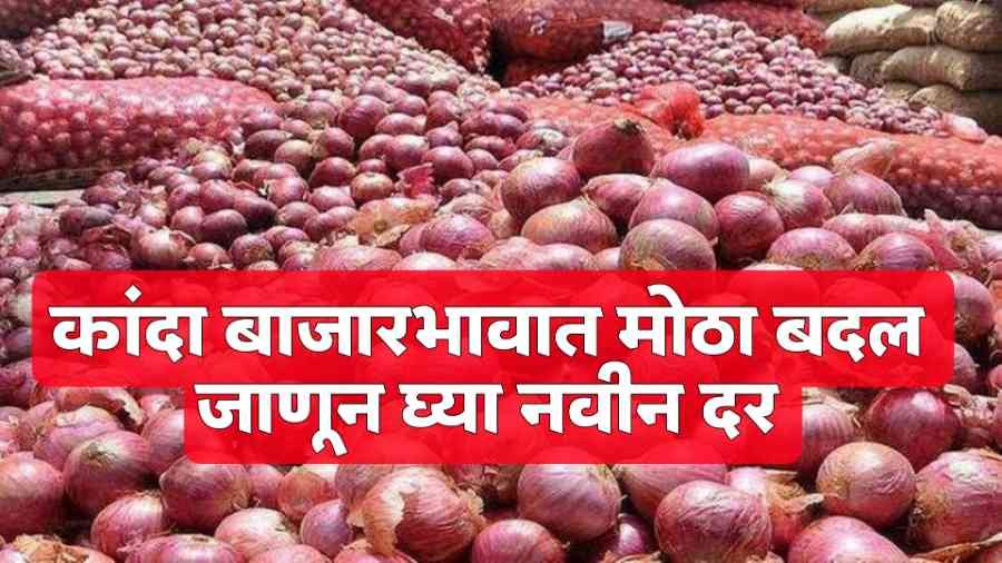 Onion Market Price Today