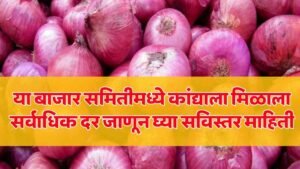 Onion Market Price