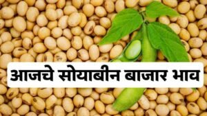 Soyabean Market Price
