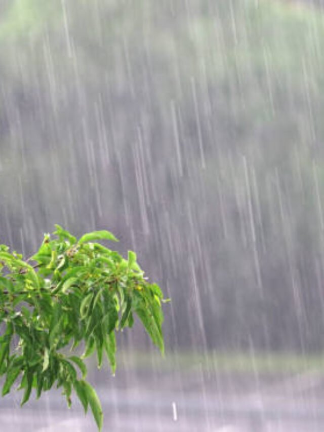 parking lot in the heavy rain in summer thunderstorm