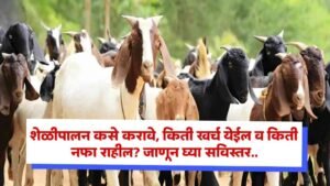 Goat Farming