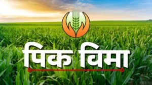 Crop Insurance Claim