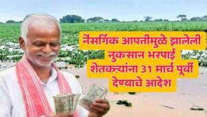 nuksan bharpai maharashtra