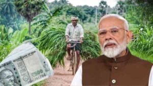 PM Dhan Dhanya Yojana