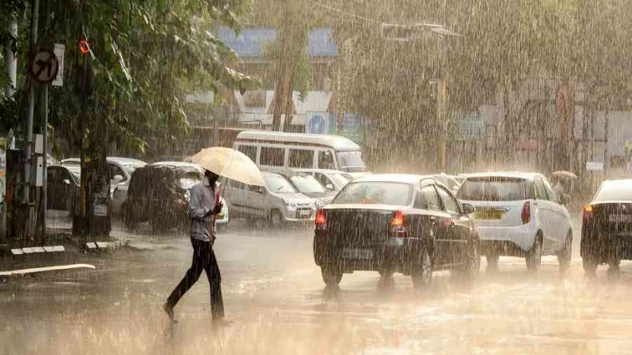 Vidarbha Rain Alert