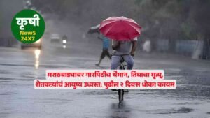 Marathwada unseasonal Rain