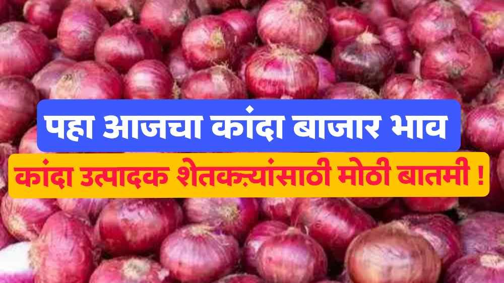Onion market rate today
