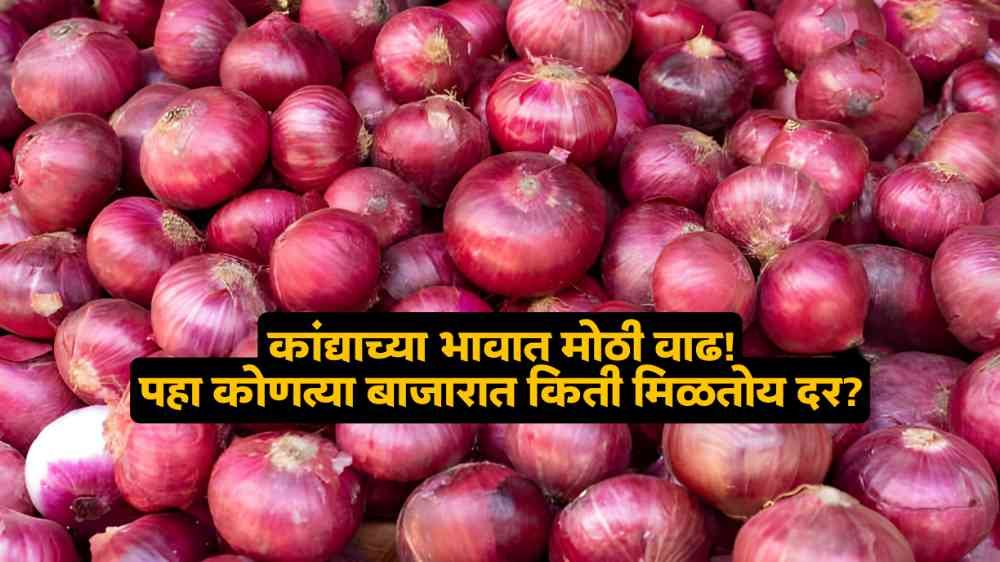 ONION MARKET PRICE
