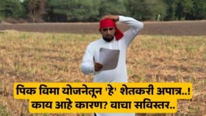 Crop Insurance