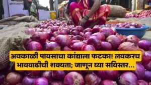 Onion Market Price