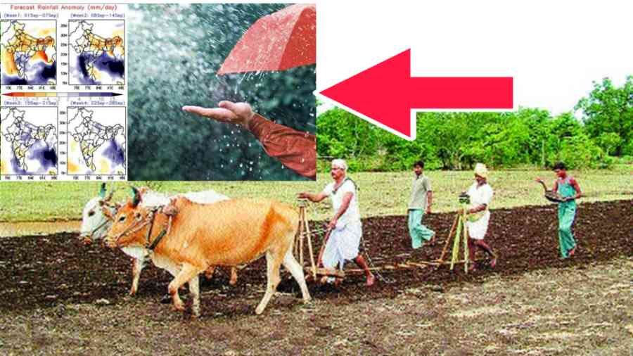 monsoon update 2025