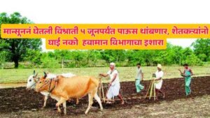 Maharashtra rainfall update