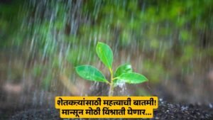 Monsoon Rain Update