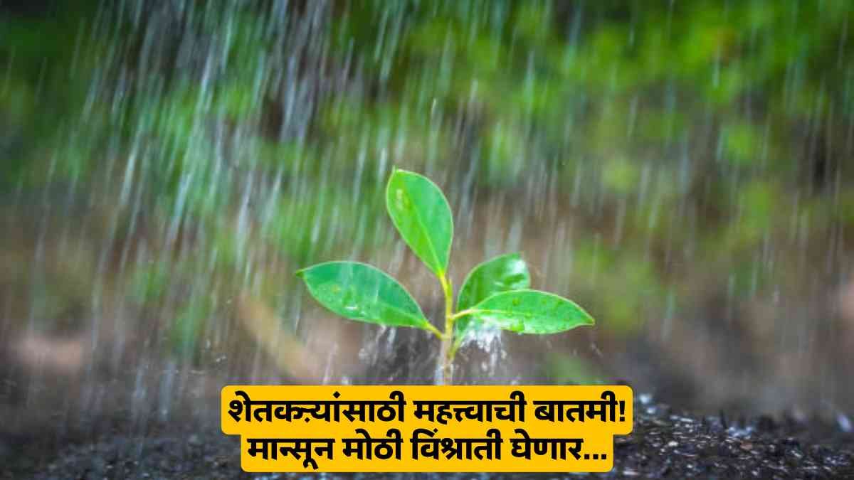 Monsoon Rain Update