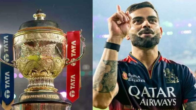 IPL owner income