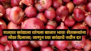 Onion Market Price