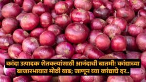 Kanda Bajar Bhav