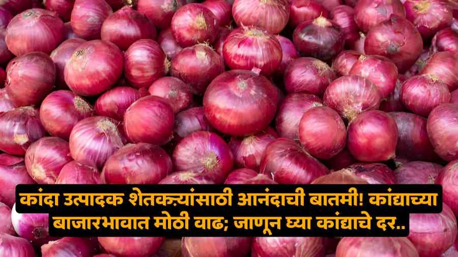 Kanda Bajar Bhav