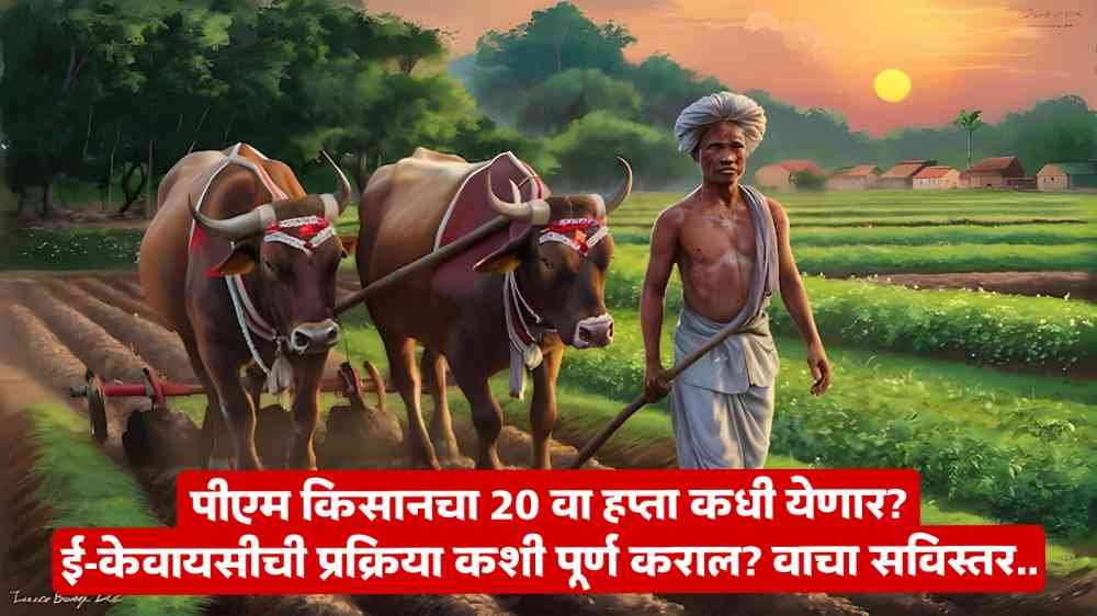 PM Kisan Yojana