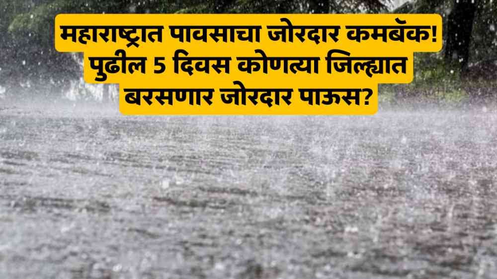 Maharastra Rain Update