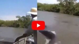 Anaconda Viral Video