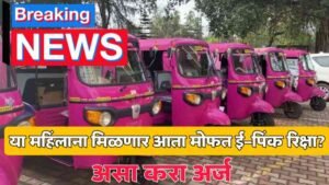 Pink e-rickshaw scheme