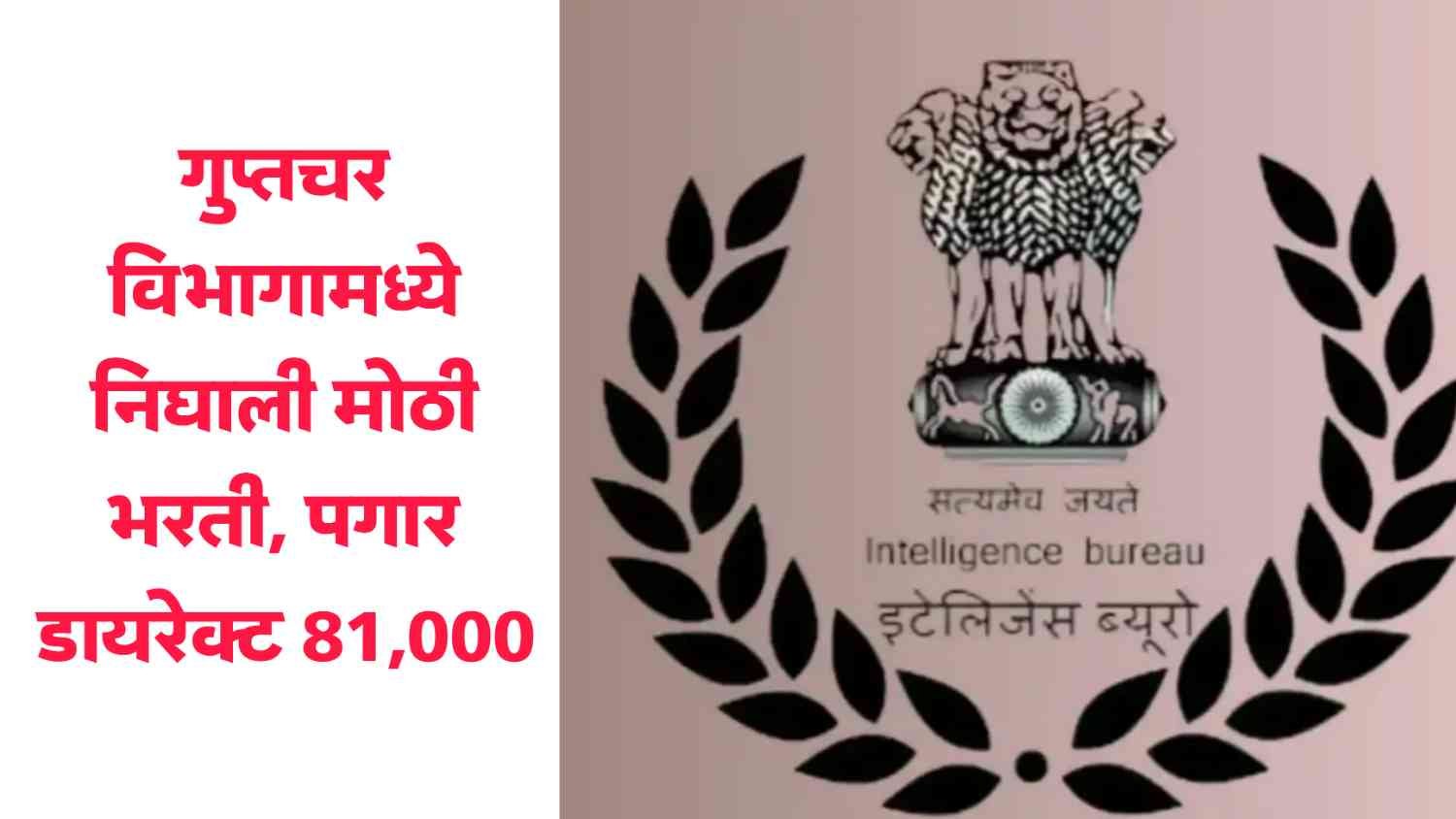 IB Recruitment 2025