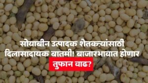 Soybean Farmers News