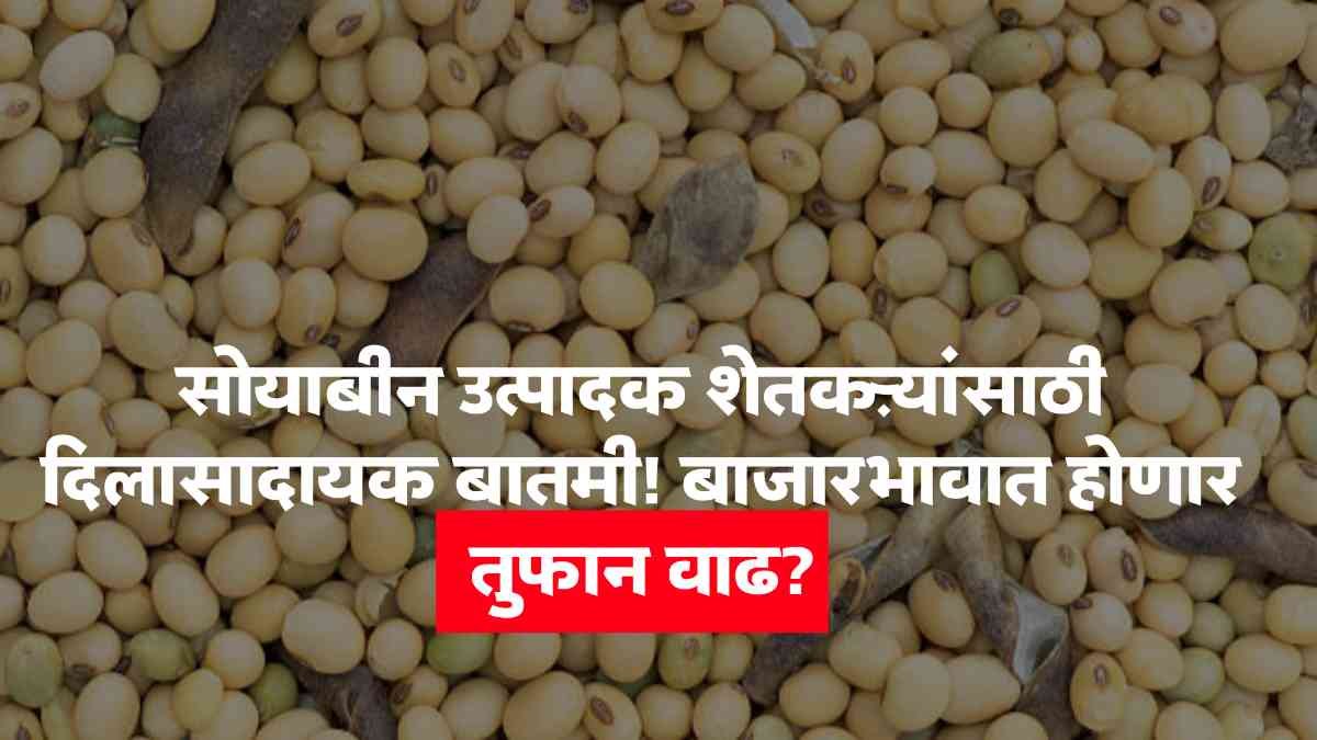 Soybean Farmers News