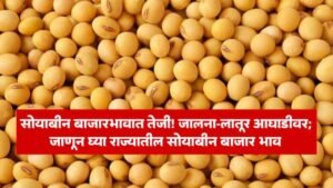 Soybean Bajar Bhav