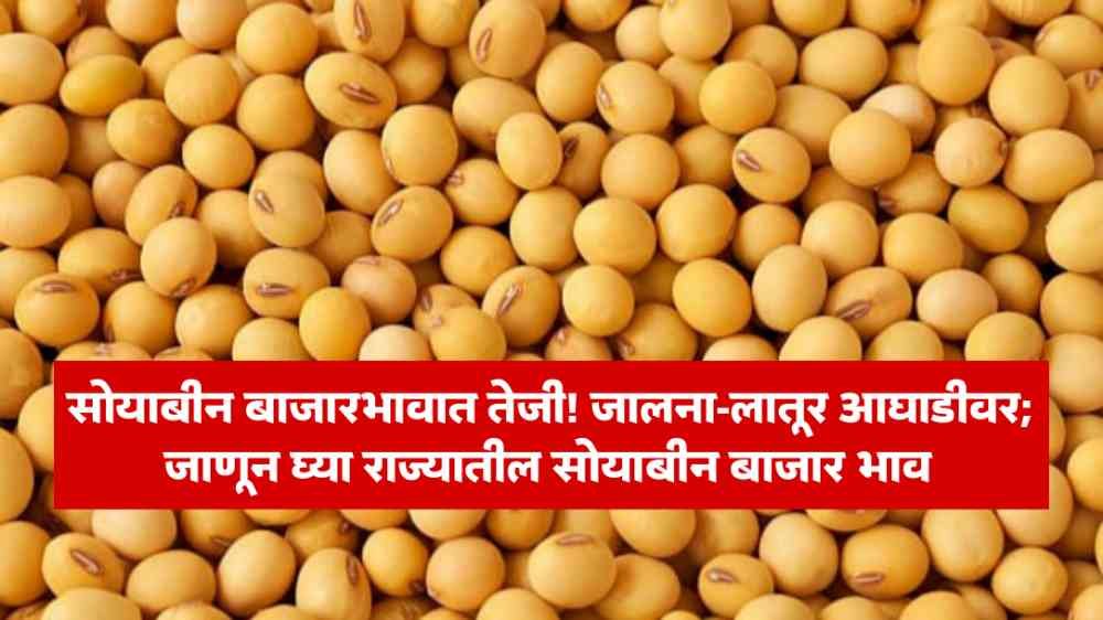 Soybean Bajar Bhav