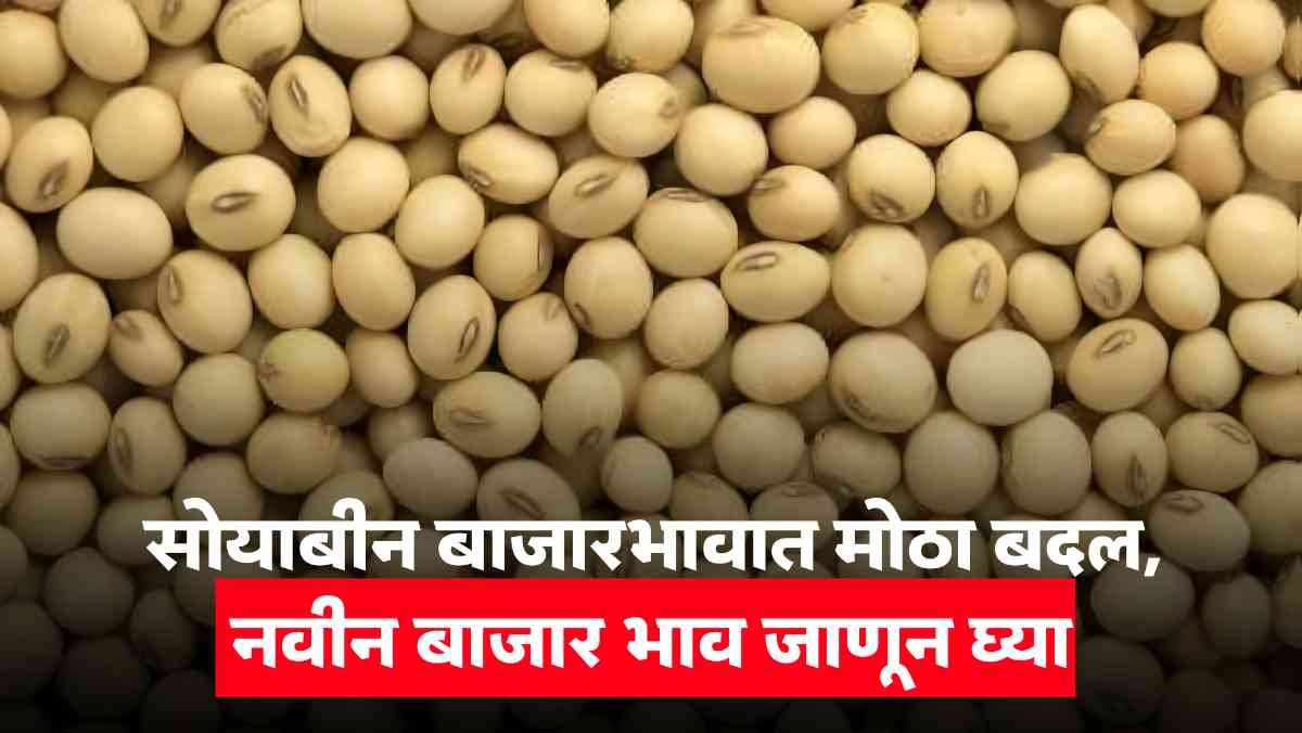 Soybean Bajar Bhav 2025