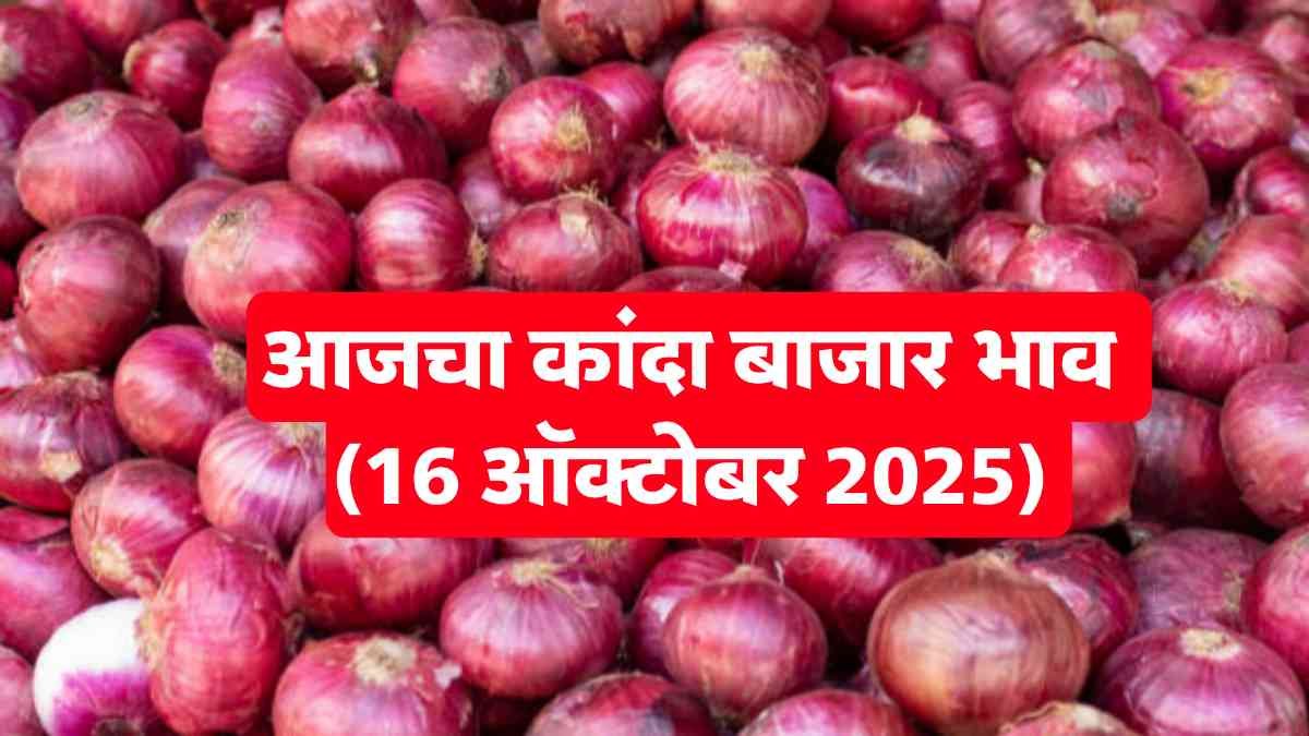 आजचा कांदा बाजार भाव