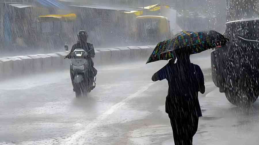 Maharashtra Rain