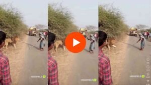 Viral Video