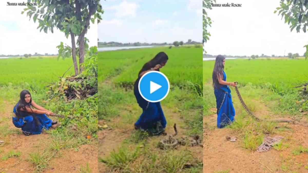 Viral video of snake