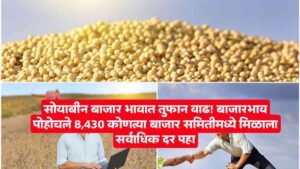 Soybean Bajar Bhav