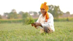 Pm Kisan Yojana