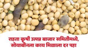 Soybean Market Price
